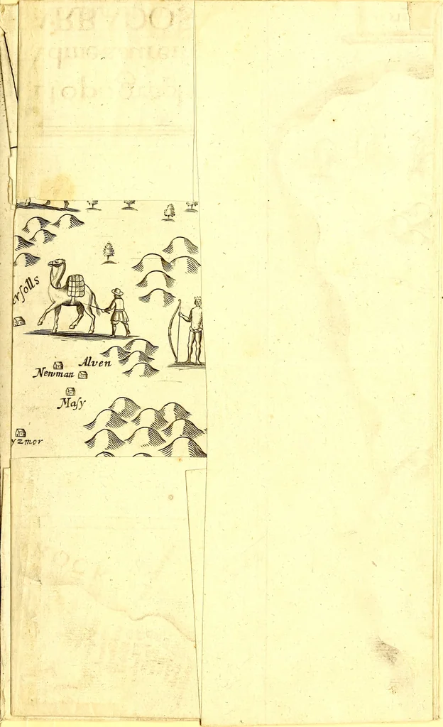 An illustration from A true & exact history of the island of Barbadoes : illustrated with a map of the island, as also the principal trees and plants there, set forth in their due proportions and shapes, drawn out by their several and respective scales : together with the ingenio that makes the sugar, with the plots of the several houses, rooms, and other places, that are used in the whole process of sugar-making ... all cut in copper, 1673, leaf 6