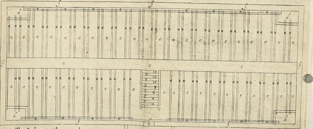 An illustration from A true & exact history of the island of Barbados : illustrated with a mapp of the island, as also the principall trees and plants there, set forth in their due proportions and shapes, drawne out by their severall and respective scales : together with the ingenio that makes the sugar, with the plots of the severall houses, roomes, and other places, that are used in the whole processe of sugar-making ... : all cut in copper, 1657, leaf 121