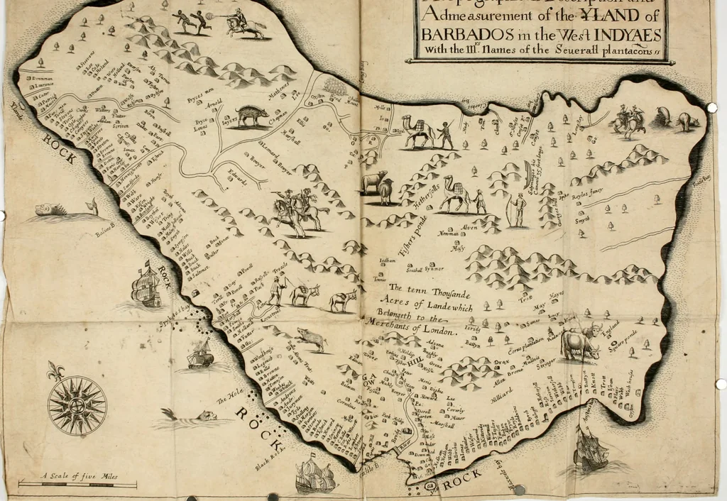 An illustration from A true & exact history of the island of Barbados : illustrated with a mapp of the island, as also the principall trees and plants there, set forth in their due proportions and shapes, drawne out by their severall and respective scales : together with the ingenio that makes the sugar, with the plots of the severall houses, roomes, and other places, that are used in the whole processe of sugar-making ... : all cut in copper, 1657, leaf 21