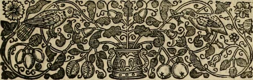 An illustration from A true & exact history of the island of Barbados : illustrated with a mapp of the island, as also the principall trees and plants there, set forth in their due proportions and shapes, drawne out by their severall and respective scales : together with the ingenio that makes the sugar, with the plots of the severall houses, roomes, and other places, that are used in the whole processe of sugar-making ... : all cut in copper, 1657, leaf 22
