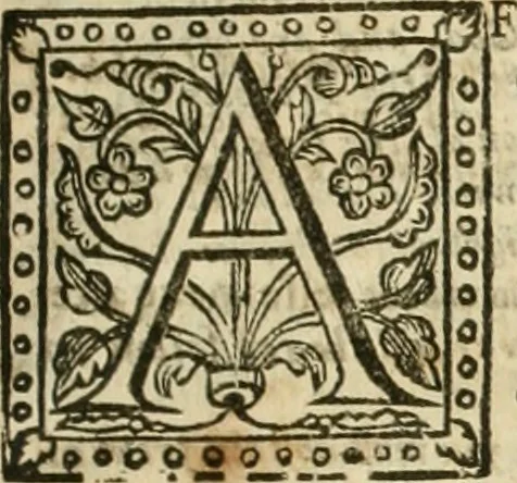 An illustration from A true & faithful relation of what passed for many yeers between Dr. John Dee ... and some spirits : tending (had it succeeded) to a general alteration of most states and kingdomes in the world : his private conferences with Rodolphe Emperor of Germany, Stephen K. of Poland, and divers other princes about it : the particulars of his cause, as it was agitated in the Emperors court, by the Pope's intervention : his banishment and restoration in part : as also the letters of sundry great men and princes (some whereof were present at some of these conferences and apparitions of spirits) to the said D. Dee : out of the original copy, written with Dr. Dees own hand, kept in the library of Sir Tho. Cotton ... : with a preface confirming the reality (as to the point of spirits) of this relation, and shewing the several good uses that a sober Christian may make of all, 1659, leaf 204