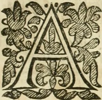 An illustration from A true & faithful relation of what passed for many yeers between Dr. John Dee ... and some spirits : tending (had it succeeded) to a general alteration of most states and kingdomes in the world : his private conferences with Rodolphe Emperor of Germany, Stephen K. of Poland, and divers other princes about it : the particulars of his cause, as it was agitated in the Emperors court, by the Pope's intervention : his banishment and restoration in part : as also the letters of sundry great men and princes (some whereof were present at some of these conferences and apparitions of spirits) to the said D. Dee : out of the original copy, written with Dr. Dees own hand, kept in the library of Sir Tho. Cotton ... : with a preface confirming the reality (as to the point of spirits) of this relation, and shewing the several good uses that a sober Christian may make of all, 1659, leaf 346