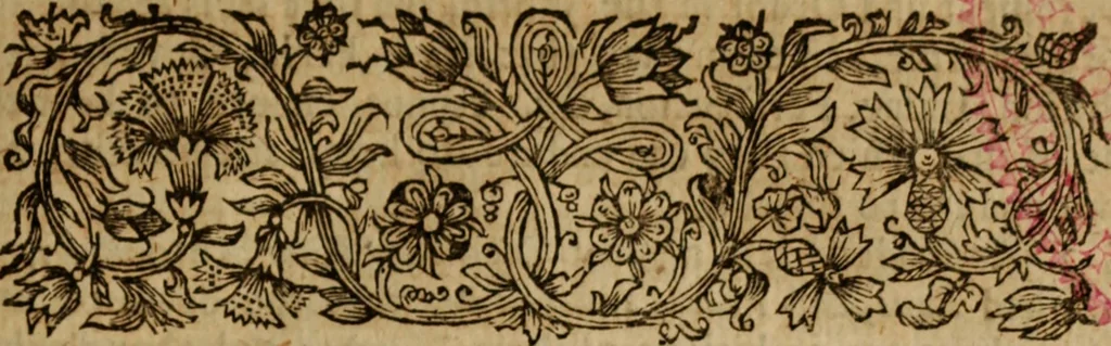 An illustration from The true history of councils enlarged and defended : against the deceits of a pretended vindicator of the primitive church .., 1682, leaf 42