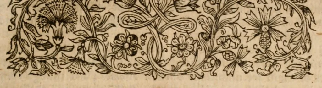 An illustration from The true history of councils enlarged and defended, against the deceits of a pretended vindicator of the primitive church, but indeed of the tympanite & tyranny of some prelates many hundred years after Christ. With a detection of the false history of Edward Lord Bishop of Corke and Rosse in Ireland, 1682, leaf 41
