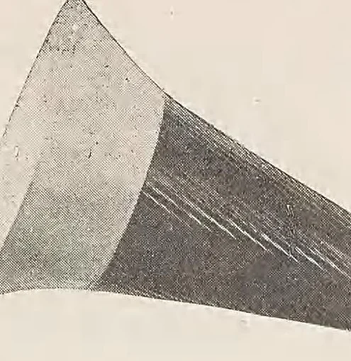 An illustration from A true mirror of sound : Bettini micro-phonograph, micro-diaphragms for phonograph and graphophone, Bettini celebrated "opera musical records" and autograph-records of world famous artists, 1900, leaf 13