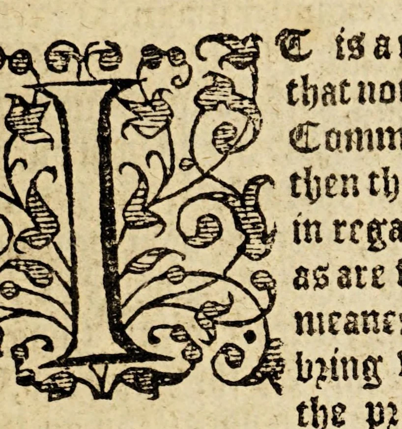 An illustration from The true and perfect description of three voyages, so strange and woonderfull, that the like hath neuer been heard of before ... by the ships of Holland and Zeland, on the North sides of Norway, Muscouia and Tartaria, towards the kingdomes of Cathaia & China; shewing the discouerie of the straights of Weigates, Noua Zembla, and ... Greenland ., 1609, leaf 11