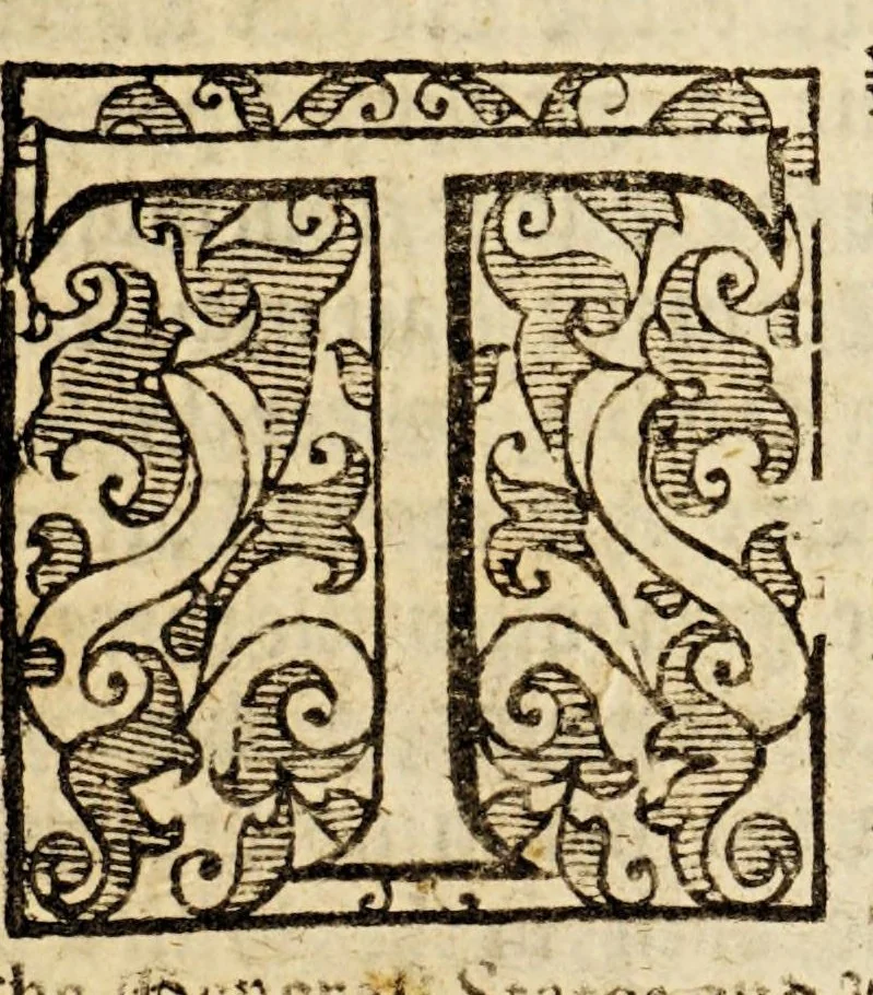 An illustration from The true and perfect description of three voyages, so strange and woonderfull, that the like hath neuer been heard of before ... by the ships of Holland and Zeland, on the North sides of Norway, Muscouia and Tartaria, towards the kingdomes of Cathaia & China; shewing the discouerie of the straights of Weigates, Noua Zembla, and ... Greenland ., 1609, leaf 33