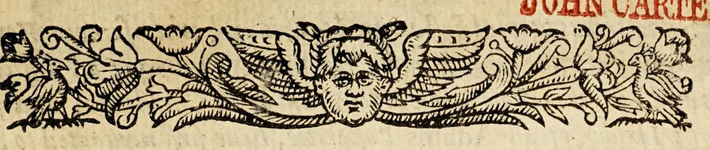 An illustration from The true and perfect description of three voyages, so strange and woonderfull, that the like hath neuer been heard of before ... by the ships of Holland and Zeland, on the North sides of Norway, Muscouia and Tartaria, towards the kingdomes of Cathaia & China; shewing the discouerie of the straights of Weigates, Noua Zembla, and ... Greenland ., 1609, leaf 9