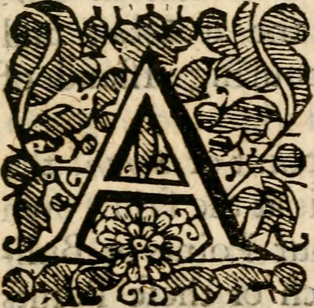 An illustration from A True relation of the unjust, cruell, and barbarous proceedings against the English at Amboyna, in the East Indies, by the Neatherlandish governour, and council there, 1665, leaf 14