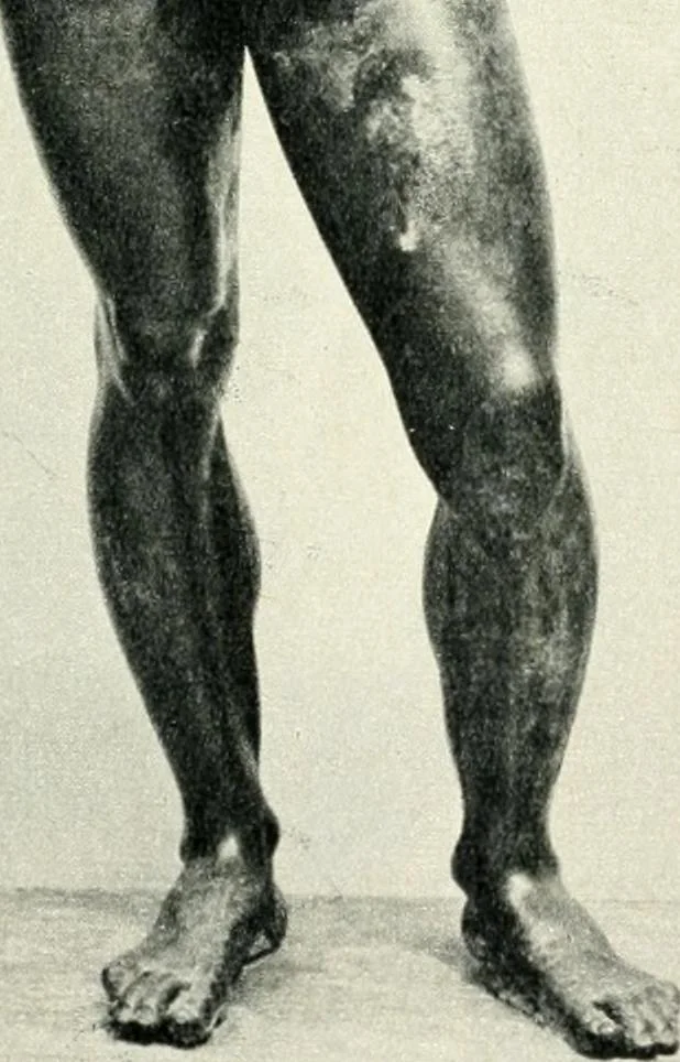 An illustration from Étrusques -- Rome, 1900, leaf 186