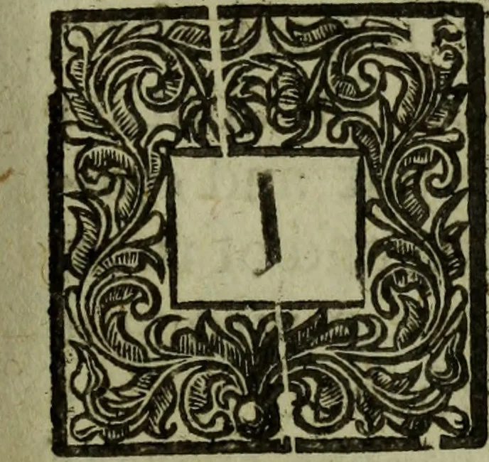 An illustration from The truth of Christian religion :in six books, 1683, leaf 164