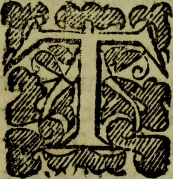 An illustration from The truth of Christian religion :in six books, 1683, leaf 206