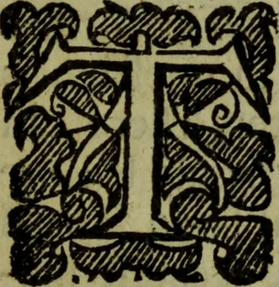 An illustration from The truth of Christian religion :in six books, 1683, leaf 38