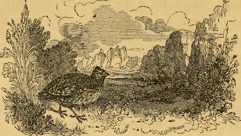 An illustration from The truth of revelation : demonstrated by an appeal to existing monuments, sculptures, gems, coins, and medals, 1840, leaf 65