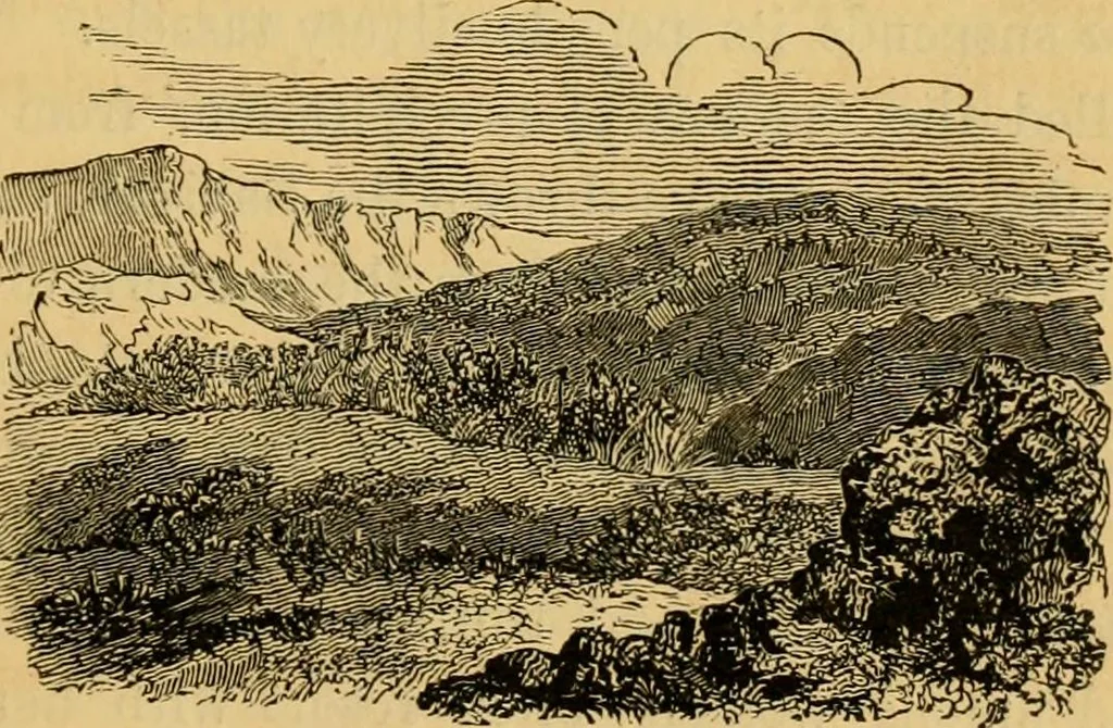 An illustration from The truth of revelation : demonstrated by an appeal to existing monuments, sculptures, gems, coins, and medals, 1840, leaf 76