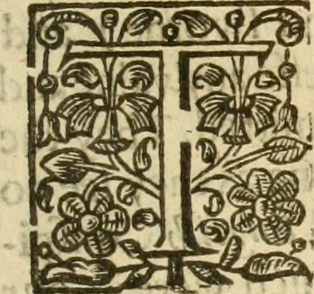 An illustration from A trve relation of the vnivst, crvell, and barbarovs proceedings against the English at Amboyna in the East-Indies, 1624, leaf 124