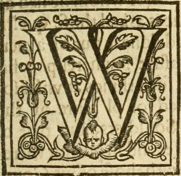 An illustration from A trve relation of the vnivst, crvell, and barbarovs proceedings against the English at Amboyna in the East-Indies, 1624, leaf 156