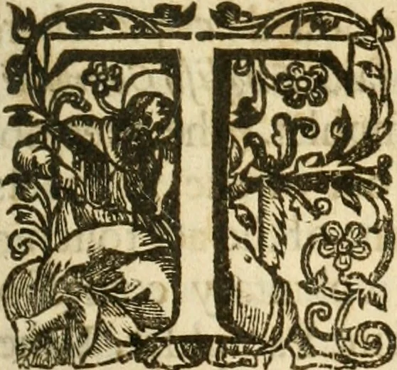 An illustration from A trve relation of the vnivst, crvell, and barbarovs proceedings against the English at Amboyna in the East-Indies, 1624, leaf 194