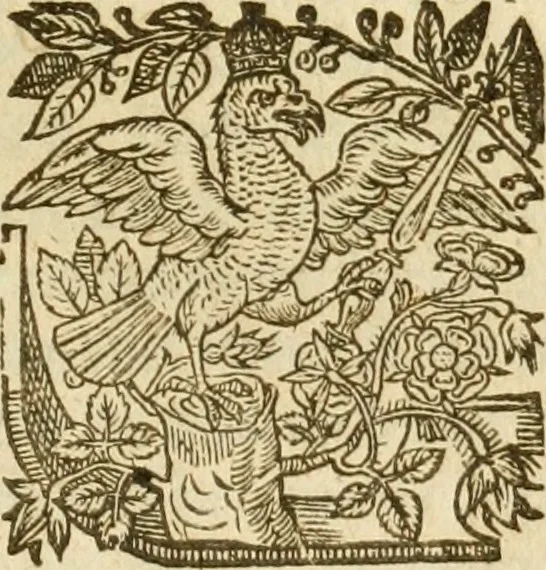 An illustration from A trve relation of the vnivst, crvell, and barbarovs proceedings against the English at Amboyna in the East-Indies, 1624, leaf 78