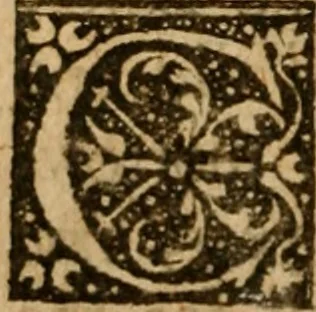 An illustration from A tryall of faith : or, The woman of Canaan, on Math: 15. 21, 22, 23, 24 ; Together with the souls sure anchor-hold, on Heb. 6. 19 ; With the wisdome of timely remembring our creator, on Eccles. 12. 1 ; In severall sermons, 1661, leaf 165