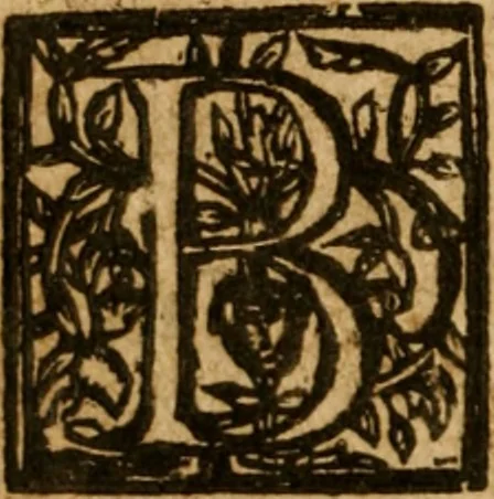 An illustration from A tryall of faith : or, The woman of Canaan, on Math: 15. 21, 22, 23, 24 ; Together with the souls sure anchor-hold, on Heb. 6. 19 ; With the wisdome of timely remembring our creator, on Eccles. 12. 1 ; In severall sermons, 1661, leaf 243