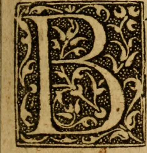 An illustration from A tryall of faith : or, The woman of Canaan, on Math: 15. 21, 22, 23, 24 ; Together with the souls sure anchor-hold, on Heb. 6. 19 ; With the wisdome of timely remembring our creator, on Eccles. 12. 1 ; In severall sermons, 1661, leaf 30