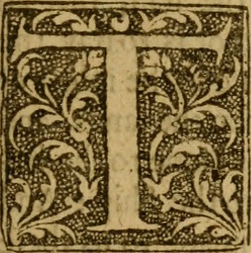 An illustration from A tryall of faith : or, The woman of Canaan, on Math: 15. 21, 22, 23, 24 ; Together with the souls sure anchor-hold, on Heb. 6. 19 ; With the wisdome of timely remembring our creator, on Eccles. 12. 1 ; In severall sermons, 1661, leaf 442