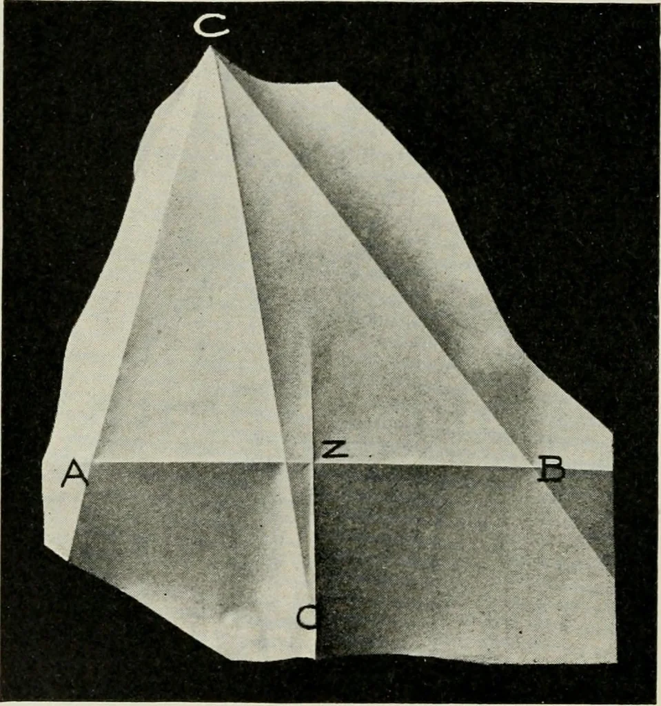 An illustration from T. Sundara Row's geometric exercises in paper folding. Edited and rev. by Wooster Woodruff Beman and David Eugene Smith, 1901, leaf 15