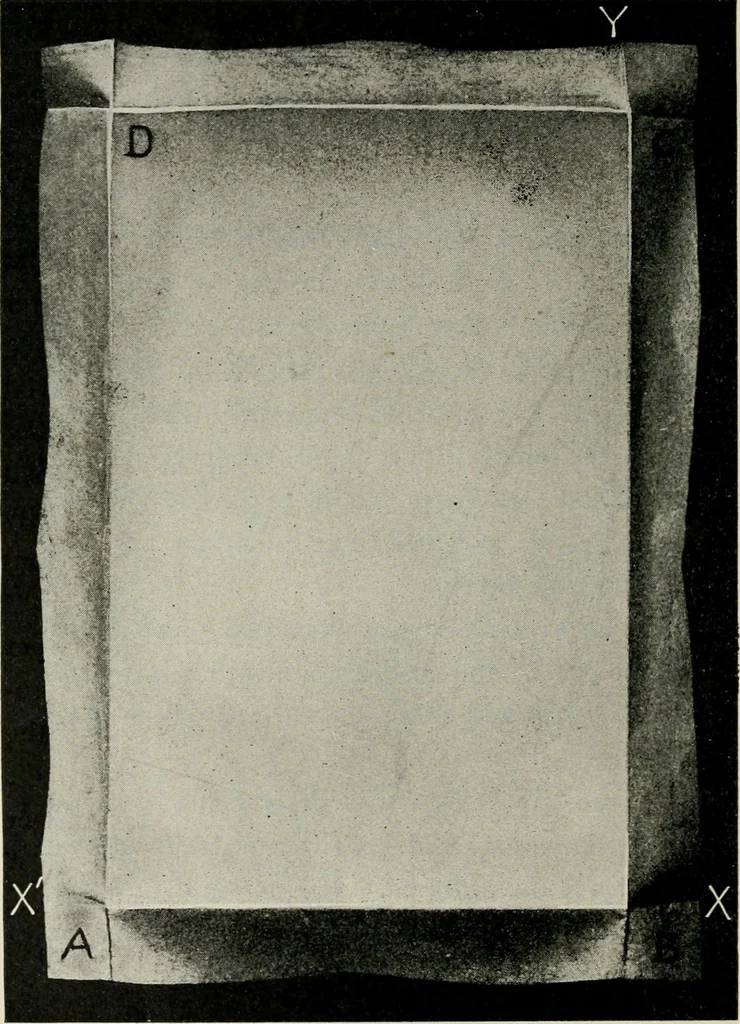 An illustration from T. Sundara Row's geometric exercises in paper folding. Edited and rev. by Wooster Woodruff Beman and David Eugene Smith, 1901, leaf 21