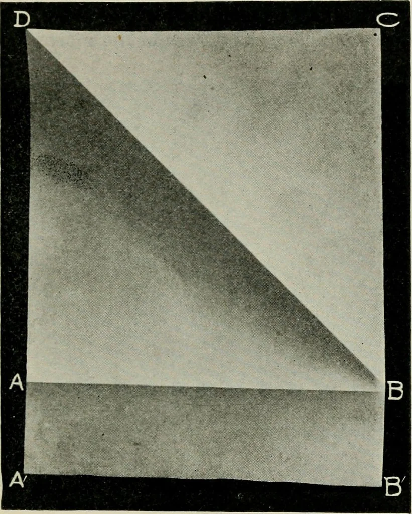 An illustration from T. Sundara Row's geometric exercises in paper folding. Edited and rev. by Wooster Woodruff Beman and David Eugene Smith, 1901, leaf 22