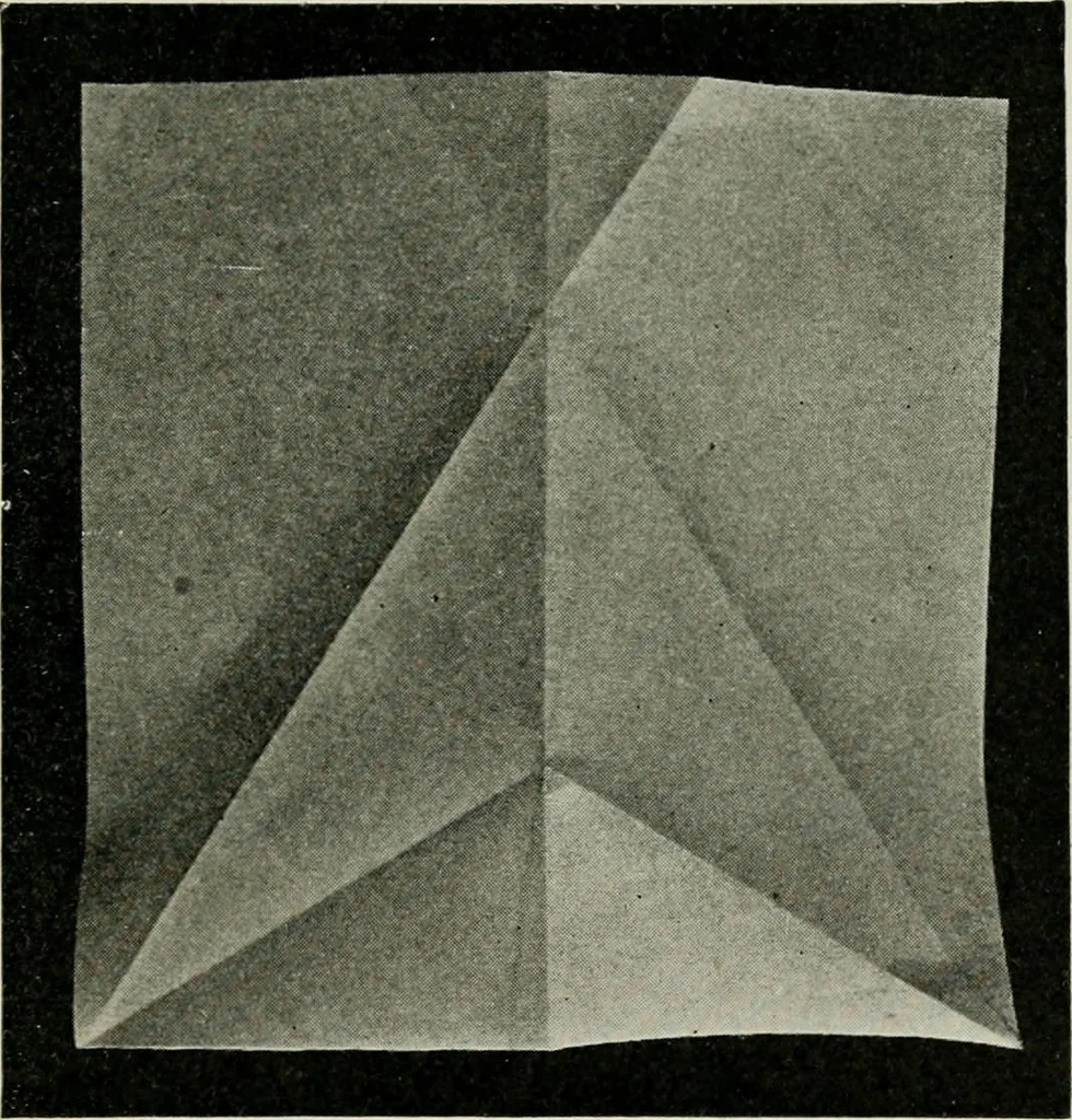 An illustration from T. Sundara Row's geometric exercises in paper folding. Edited and rev. by Wooster Woodruff Beman and David Eugene Smith, 1901, leaf 28
