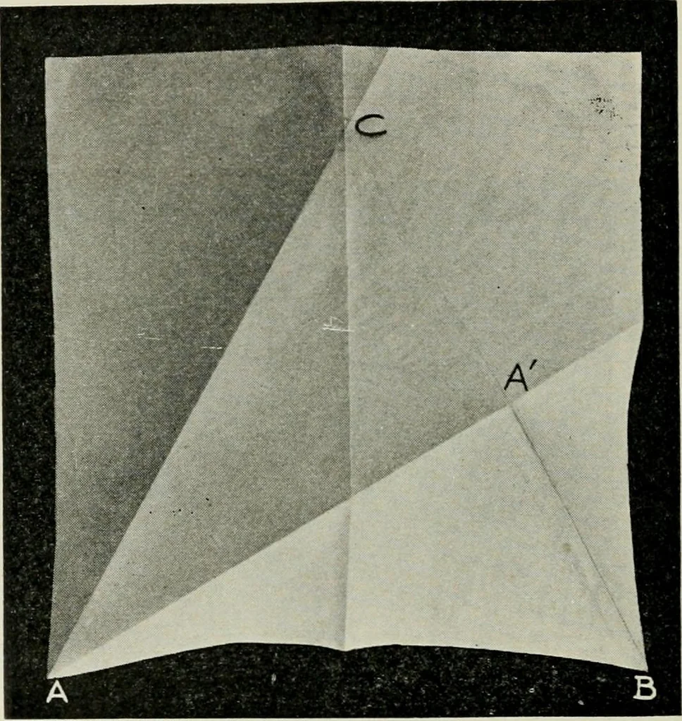 An illustration from T. Sundara Row's geometric exercises in paper folding. Edited and rev. by Wooster Woodruff Beman and David Eugene Smith, 1901, leaf 29