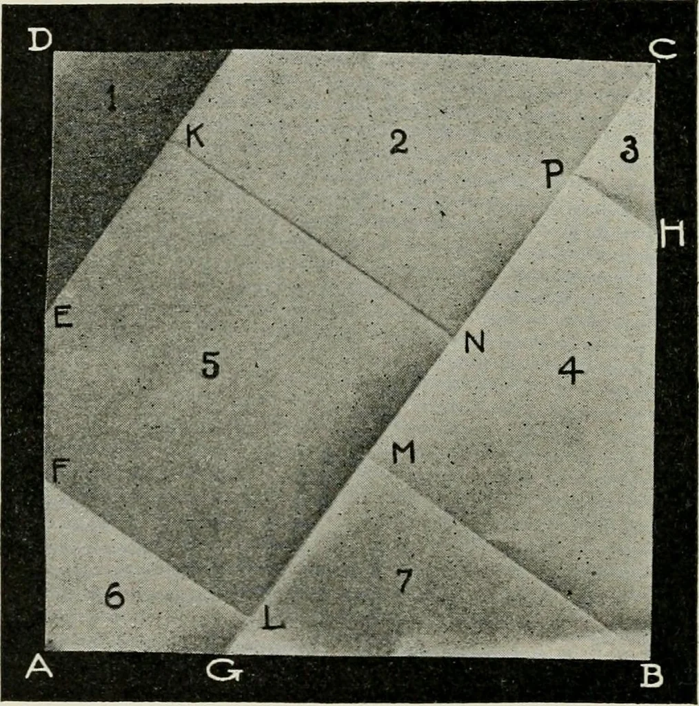 An illustration from T. Sundara Row's geometric exercises in paper folding. Edited and rev. by Wooster Woodruff Beman and David Eugene Smith, 1901, leaf 47