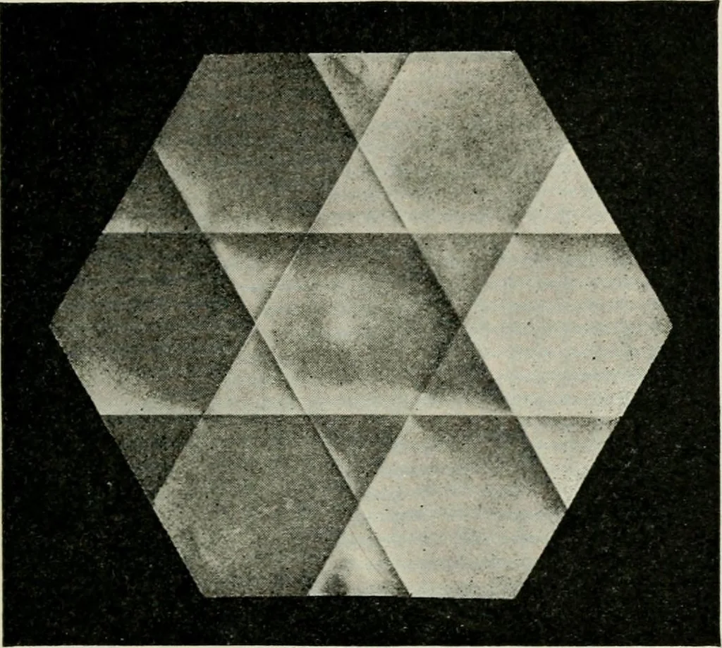 An illustration from T. Sundara Row's geometric exercises in paper folding. Edited and rev. by Wooster Woodruff Beman and David Eugene Smith, 1901, leaf 56