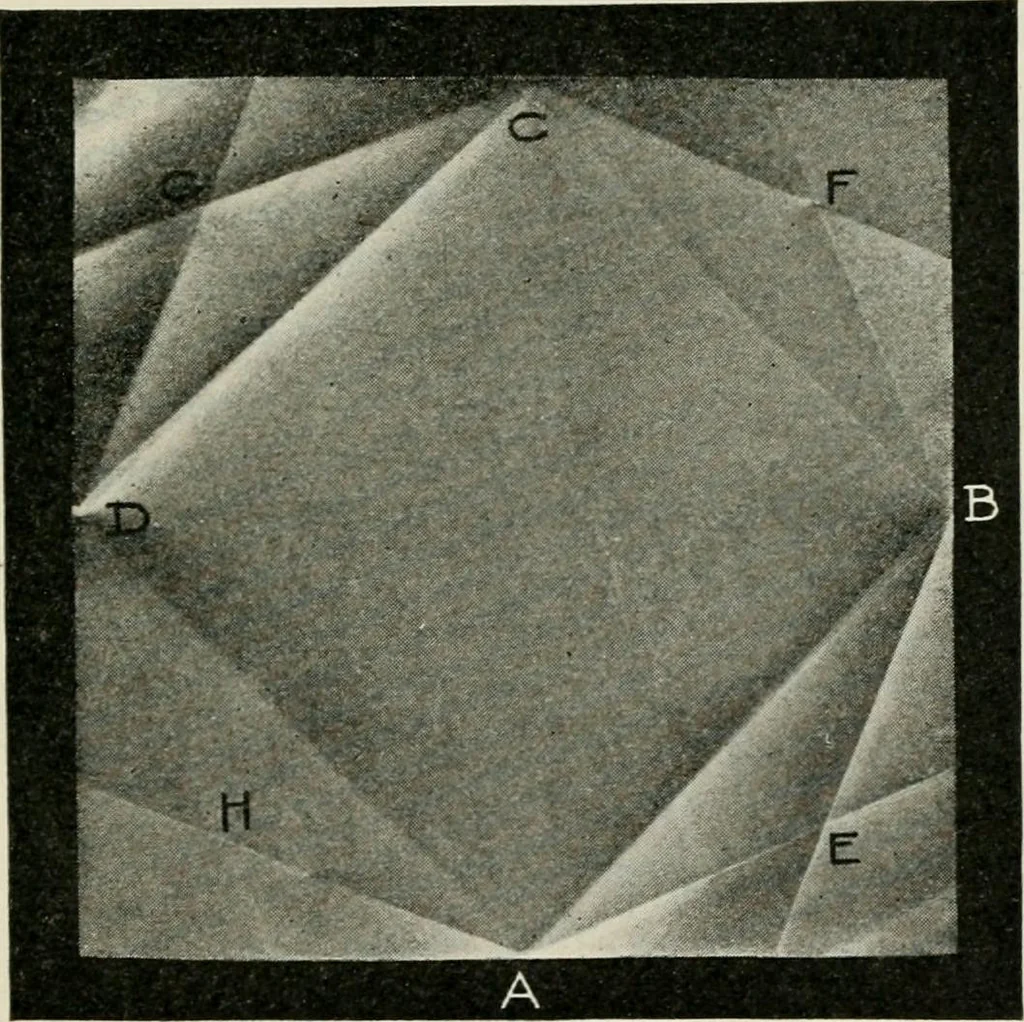 An illustration from T. Sundara Row's geometric exercises in paper folding. Edited and rev. by Wooster Woodruff Beman and David Eugene Smith, 1901, leaf 58