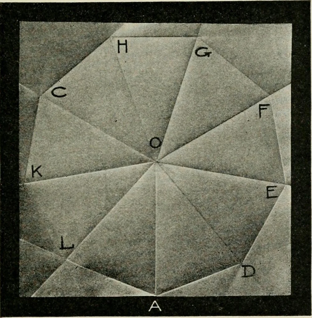 An illustration from T. Sundara Row's geometric exercises in paper folding. Edited and rev. by Wooster Woodruff Beman and David Eugene Smith, 1901, leaf 64