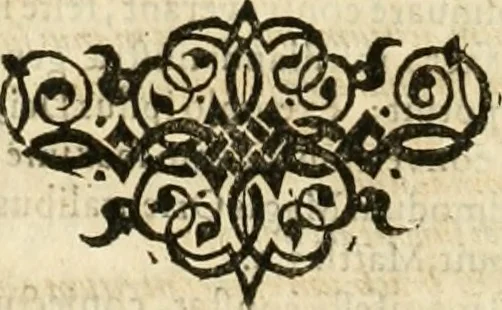 An illustration from Tuba danica, hoc est, Dissertatio theologica de aureo cornu in Cimbriâ invento, qvo, ceu tubâ clangente, Deus Opt. Max. nos, qvi regnum Daniae incolimus, excitat ex infelici securitatis somno ..., 1644, leaf 117