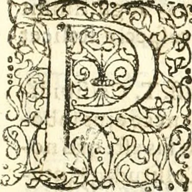 An illustration from Tuba danica, hoc est, Dissertatio theologica de aureo cornu in Cimbriâ invento, qvo, ceu tubâ clangente, Deus Opt. Max. nos, qvi regnum Daniae incolimus, excitat ex infelici securitatis somno ..., 1644, leaf 6