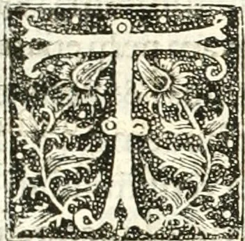 An illustration from Tuba danica, hoc est, Dissertatio theologica de aureo cornu in Cimbriâ invento, qvo, ceu tubâ clangente, Deus Opt. Max. nos, qvi regnum Daniae incolimus, excitat ex infelici securitatis somno ..., 1644, leaf 8