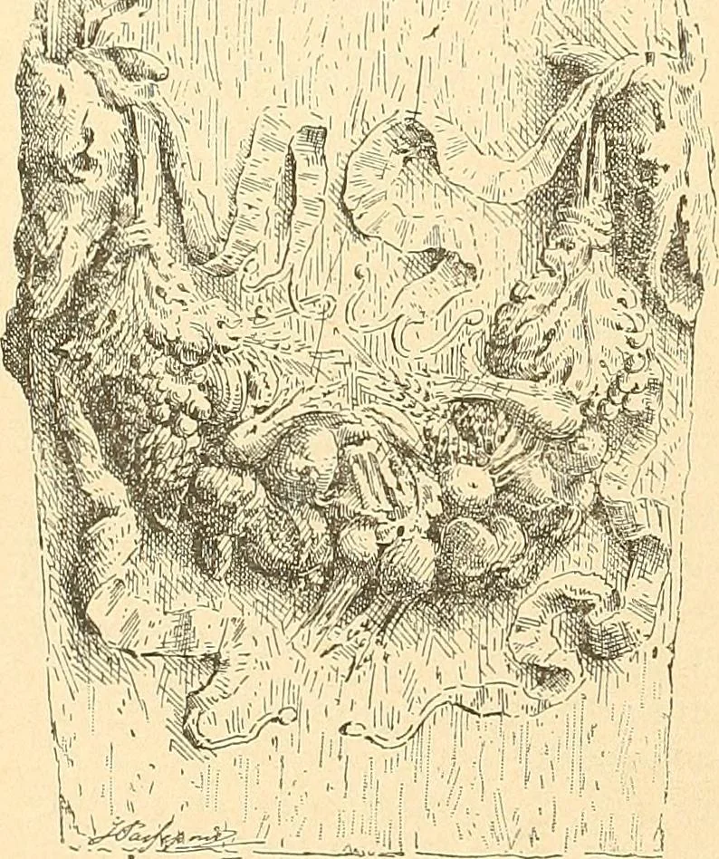 An illustration from Étude des ornements : première partie : dauphins-écailles-bucrânes-grecques-guirlandes-flots grecs, 1896, leaf 147