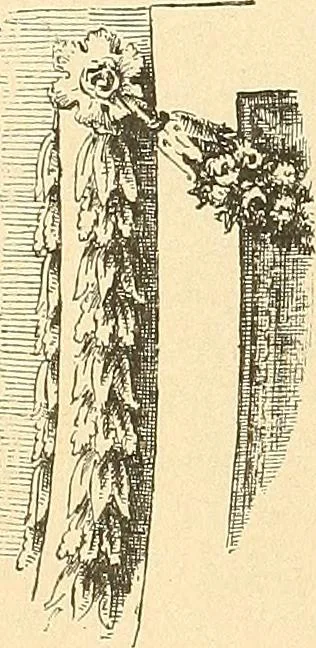 An illustration from Étude des ornements : première partie : dauphins-écailles-bucrânes-grecques-guirlandes-flots grecs, 1896, leaf 157