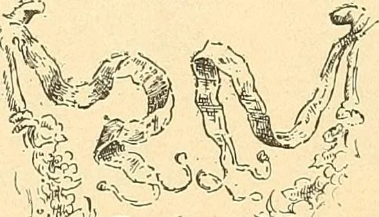 An illustration from Étude des ornements : première partie : dauphins-écailles-bucrânes-grecques-guirlandes-flots grecs, 1896, leaf 177