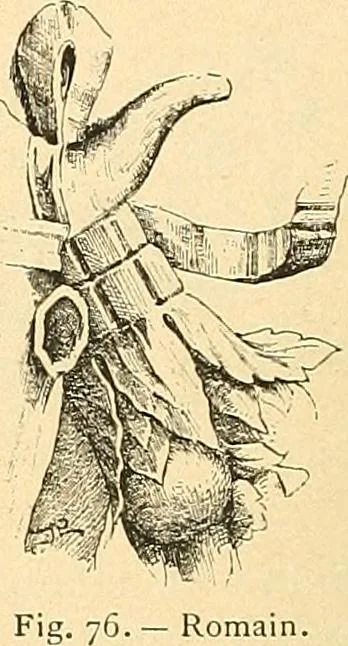 An illustration from Étude des ornements : première partie : dauphins-écailles-bucrânes-grecques-guirlandes-flots grecs, 1896, leaf 179