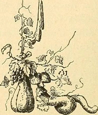 An illustration from Étude des ornements : première partie : dauphins-écailles-bucrânes-grecques-guirlandes-flots grecs, 1896, leaf 181