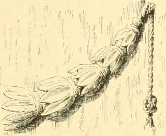 An illustration from Étude des ornements : première partie : dauphins-écailles-bucrânes-grecques-guirlandes-flots grecs, 1896, leaf 186