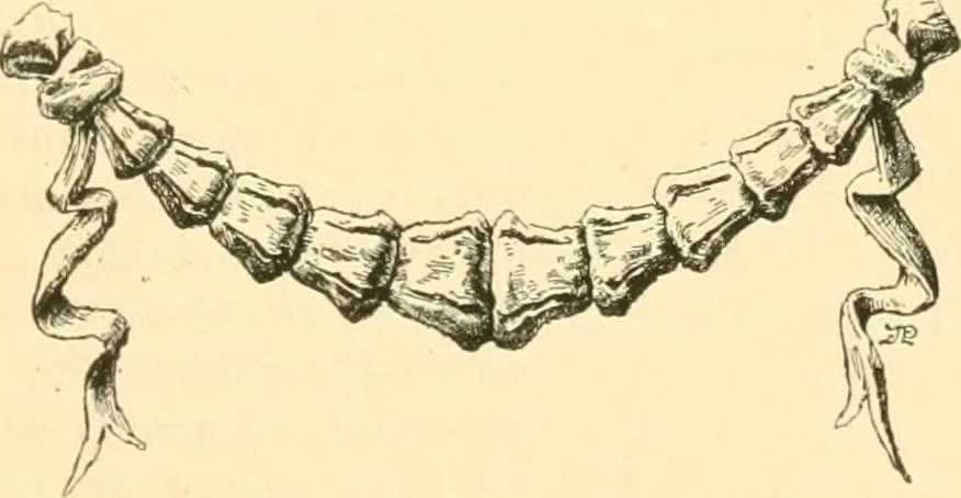 An illustration from Étude des ornements : première partie : dauphins-écailles-bucrânes-grecques-guirlandes-flots grecs, 1896, leaf 190
