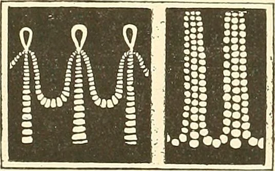 An illustration from Étude des ornements : première partie : dauphins-écailles-bucrânes-grecques-guirlandes-flots grecs, 1896, leaf 193