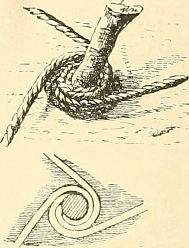 An illustration from Étude des ornements : première partie : dauphins-écailles-bucrânes-grecques-guirlandes-flots grecs, 1896, leaf 205