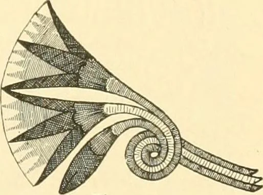 An illustration from Étude des ornements : première partie : dauphins-écailles-bucrânes-grecques-guirlandes-flots grecs, 1896, leaf 206
