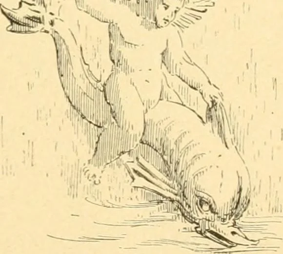 An illustration from Étude des ornements : première partie : dauphins-écailles-bucrânes-grecques-guirlandes-flots grecs, 1896, leaf 38